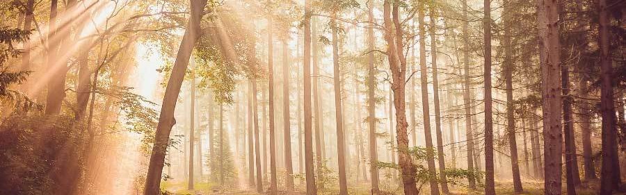 朱婷在意甲联赛单场斩获三十八分