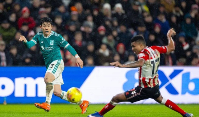 因你们而流的泪